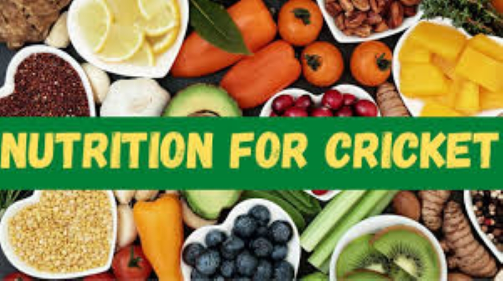 Cricket Nutrition and Diet