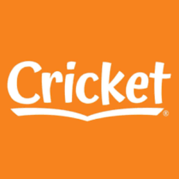 Cricket and Media